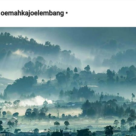 Oemah Kajoe Lembang Villa Ngoại thất bức ảnh